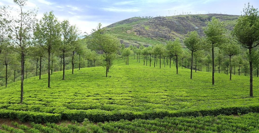 Elysium Garden Munnar Exterior foto