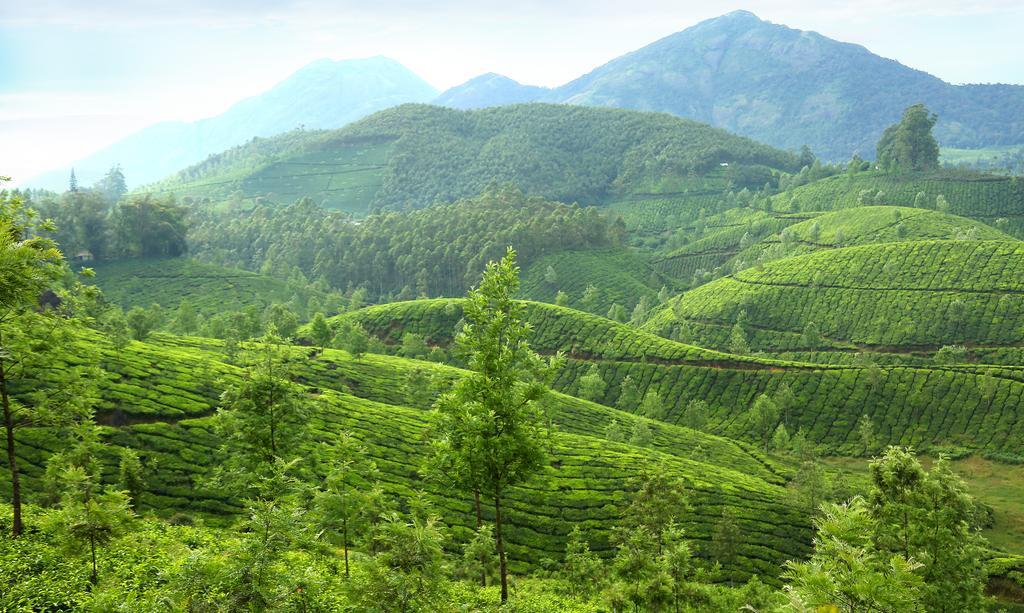 Elysium Garden Munnar Exterior foto