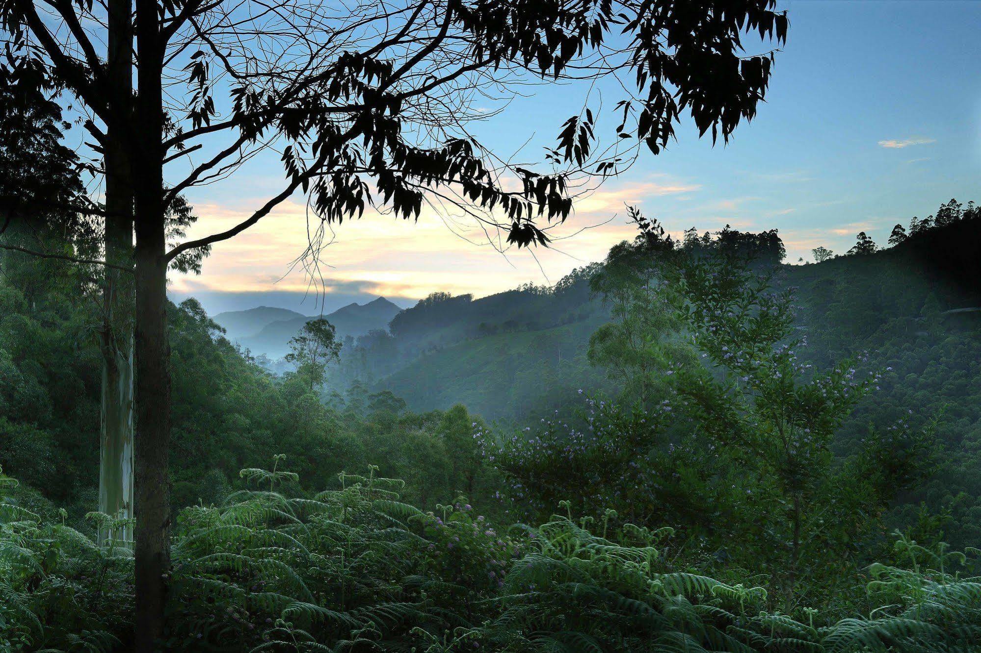 Elysium Garden Munnar Exterior foto